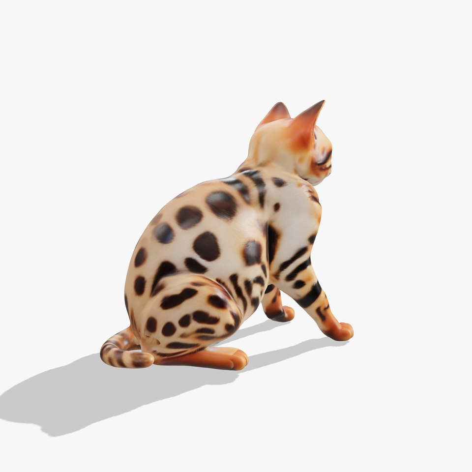 Spotted Bengal Cat model pack
